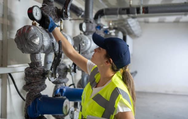 Best Same-Day Plumbing Service  in Long Lake, MN
